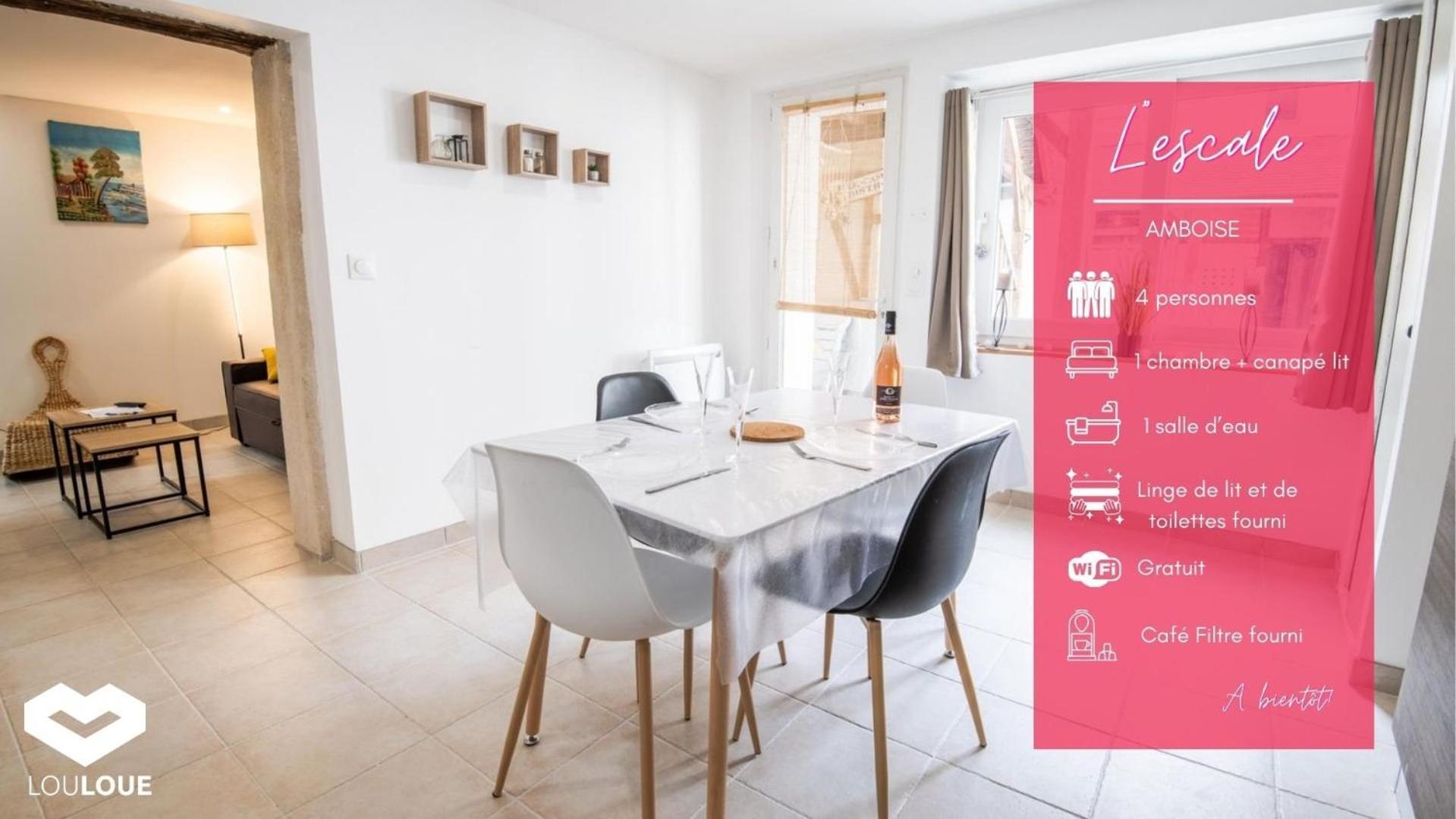 Appartement Grand T2 sur la route du Chateau dAmboise Extérieur photo