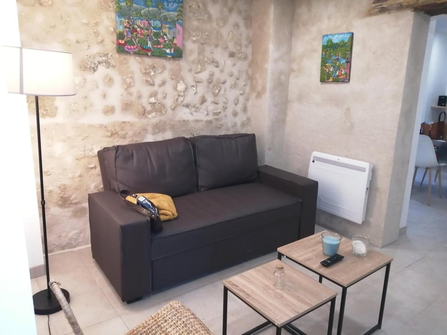 Appartement Grand T2 sur la route du Chateau dAmboise Extérieur photo